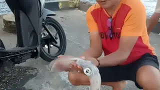 Kompilasi video keseruannya mancing