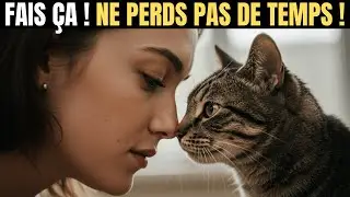 Choquant ! Les 8 Choses Que Votre Chat N&rsquo;Oublie JAMAIS (Et Vous En Faites Partie !)