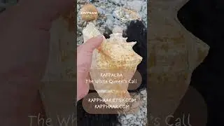 RAFFALBA - White Queen Ritual Shell Horn | Queen Conch Instrument (340 Hz) - RAFFHAAR 18  #conchhorn