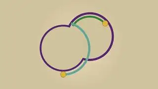 Mitochondrial DNA replication