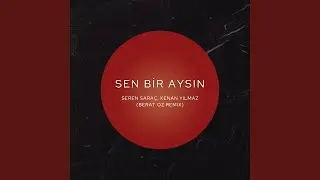 Sen Bir Aysın