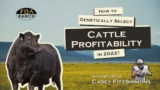 How to Genetically Select For Cattle Profitability in 2022? | Casey FitzSimmons | Part 2