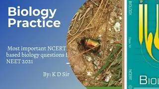 ||the second meiotic division leads to|| BIOLOGY PRACTICE || IMP NCERT QUESTIONS FOR NEET 2021