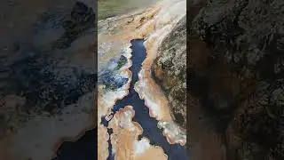 16.02.2026 Абхазия, еще один самопроявленный Шива-лингам. #scsm