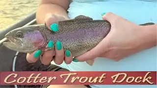 August 20, 2025 Arkansas Trout Fishing Report