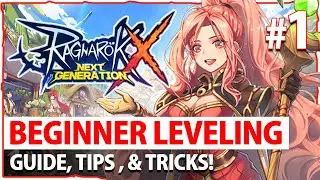 THINGS YOU MUST KNOW! Beginner's Leveling Guide, Tips, & Tricks! - RAGNAROK X: NEXT GENERATION