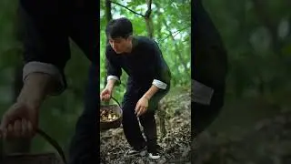 Foraged Mushrooms and Bacon Stir-Fry: From Forest to Skillet!