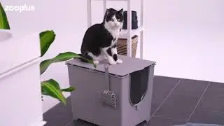 Modkat Katzentoilette Flip