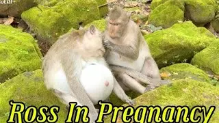 Everyday Brings Her Closer To Her Baby's First Breath / Ross's Story
