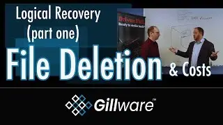 Deleted Files and Cost