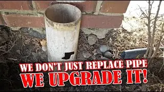 How to Battle Tree Roots when replacing a Gutter Downspout Drain Line