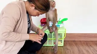 Geeez  ! Jude Very Handsome Sit Like A Master For Mom Cleaning Toe
