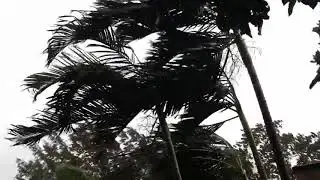 Storm Noul weakens into tropical depression after making landfall   VnExpress International