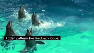 Why Some Systems Fail While Others Thrive