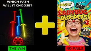 🐞 40 ATTEMPTS LATER&hellip; I TRAINED A LADYBUG! 🤯 You Won&rsquo;t Believe What Happened &ndash; LADYBUG TRICKS