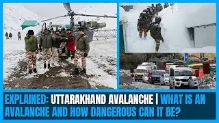 Uttarakhand Avalanche updates: 50 Border Roads Organisation(BRO) workers rescued; search continue