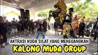 AKTRASI KUDA SILAT SANGAT MENEGANGKAN ‼️ KALONG MUDA GROUP