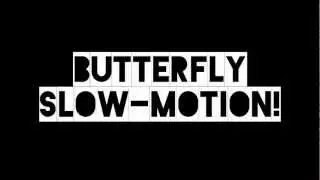 Butterfly twist Slow-Motion