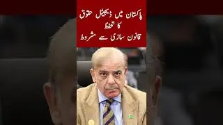 Protection of digital rights in Pakistan #shortsfeed |#ytshorts #youtubeshorts #shorts
