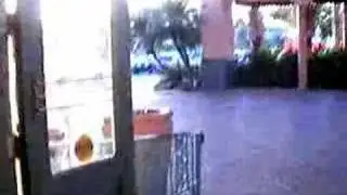 EZ Rent a car Miami