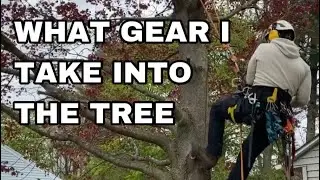 How I Organize My Petzl Sequoia Harness | Arborist Tree Climbing Gear