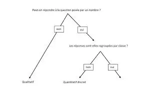 Comment déterminer la nature (quantitatif ou qualitatif) d'un caractère statistique ?