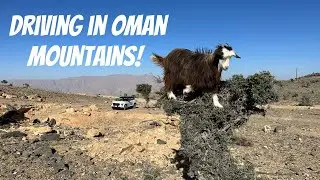 WE DROVE A 2WD THROUGH OMAN!