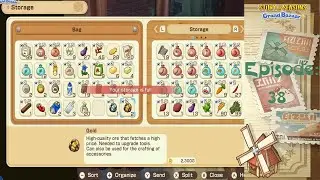 Let's Play Story of Seasons: Grand Bazaar! Episode 38 - Storage Woes