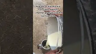 full watch 👉🐄 #short #shortvideo #ytshorts #fyp #cow #cowfarming #farming #cattleworld #dairyfarm