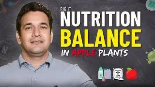 Puri Saal Ke Liye Nutrition Balancing 🌱 High Yield aur Healthy Plants Ke Liye Guide 🍎💪