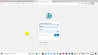 How to Run 2 or more Wordpress sites on XAMPP - localhost