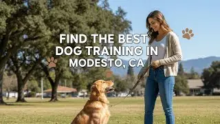 Find the Best Dog Training in Modesto California