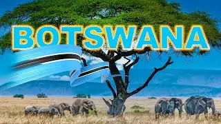 BOTSWANA 🇧🇼