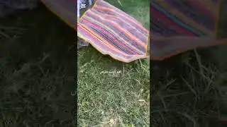 راح نعيش نص يومنا في الريف 🌸