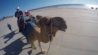 2016 09 16   Broome  - Camel riding