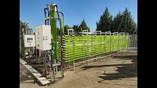 Un pieno di Alghe - RAI NEWS - Progetto BIOMAGIC HTL - STAR Facility Centre - Università di Foggia