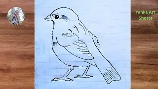 How to draw Sparrow | Easy Sparrow Drawing | Bird Drawing | #birds #sparrow