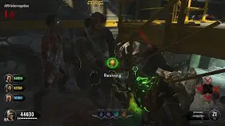 Weird revive glitch on alpha omega 