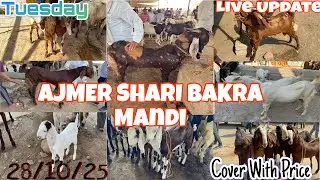 Ajmer Sharif Bakra Mandi Live Update 28/10/2025 Rajasthan 