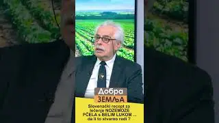 Slovenački recept za lečenje nozemoze pčela -da li to stvarno radi ? #pcele #pčele #uginuće #nozema