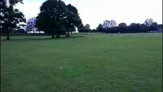 Ansmann Terrier Brushless Truggy on 14.8 Volts 80 Amp ESC Wheelies!!!