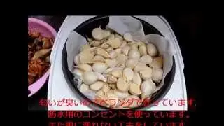 黒にんにくの作り方How to make black garlic at homePart1