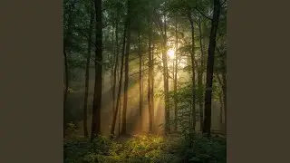 Slow Mountain Air