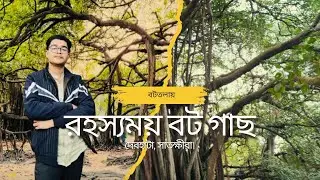 রহস্যময় বট গাছ। বনবিবির বটতলায়, দেবহাটা, সাতক্ষীরা। #blog #travelling #mystical 