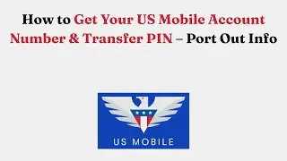 Как получить номер своего мобильного счета в США и PIN-код для перевода &mdash; Информация о переносе