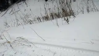 В логах