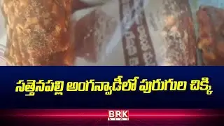 సత్తెనపల్లి అంగన్వాడీలో పురుగుల చిక్కి | Sattenapalli Anganwadi |  Sattenapalle | Palnadu | BRK News