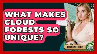 What Makes Cloud Forests So Unique? - Explaining Ecology