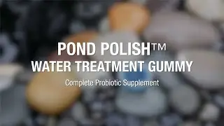 Pond Polish Probiotic Water Treatment Gummy | Product Features