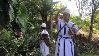 Mamos in Costa Rica - Ceiba Tree wisdom -  Agreements & Equilibrium